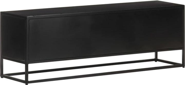 Image du produit vidaXL TV-Schrank (120 x 30 x 40 cm)