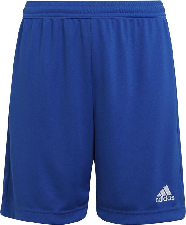 Image du produit adidas Entrada 22 Shorts (128)