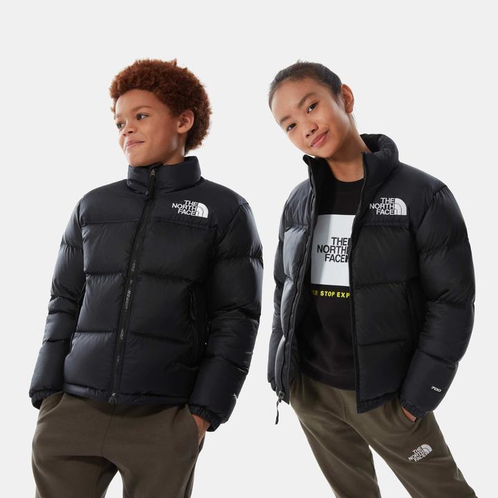 Actual product image North Face Nuptse down jacket (L)