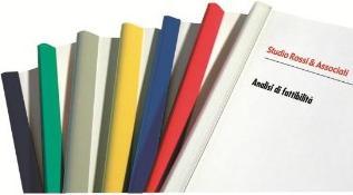 Actual product image Fellowes Dorsini Sheet Binders