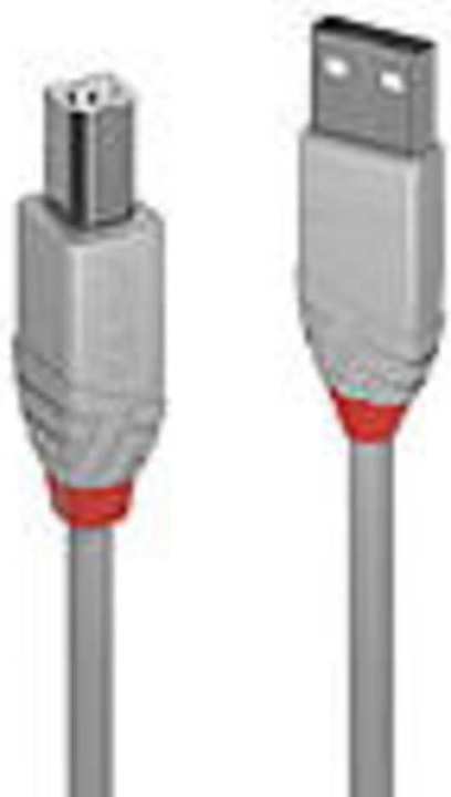 Productafbeelding Lindy USB/A-USB/B M-M (3 m, USB 2.0)