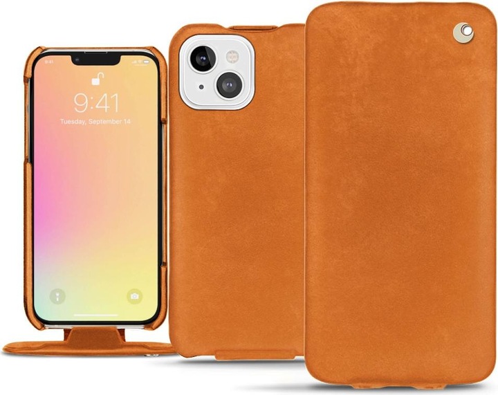 Mandarine vintage ( Pantone #d47231 )