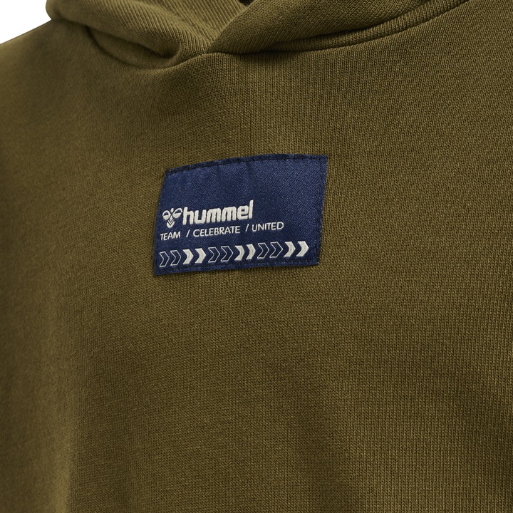 Actual product image hummel Ditmer Hoodie (104)