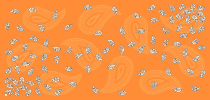 Glarus Paisley arancione