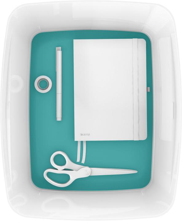 Immagine prodotto Leitz MYBOX - Scatola di stoccaggio (31.80 cm, 18 l, 1x)