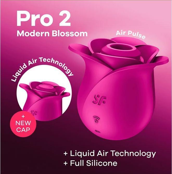 Produktbild Satisfyer Pro 2 - Modern Rose