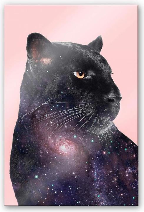 Produktbild Trenddeko Galaxy Panther (100 x 150 cm)