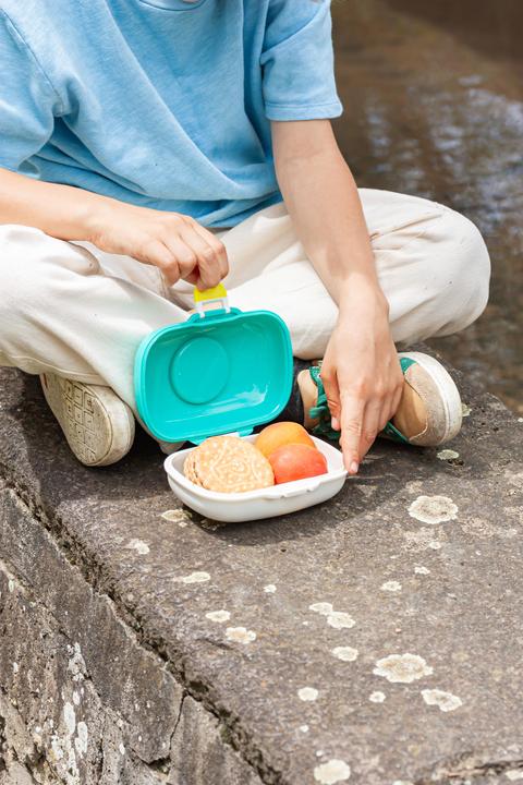 Actual product image Monbento Dino