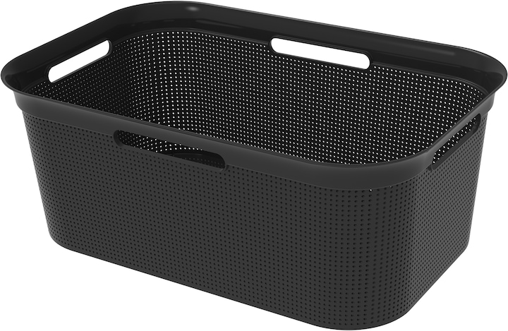 Image du produit Rotho Brisen (41 l)