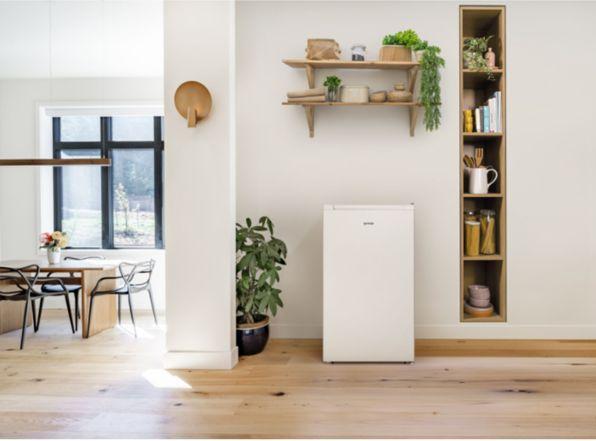 Actual product image Gorenje RB39EPW4 (82 l)