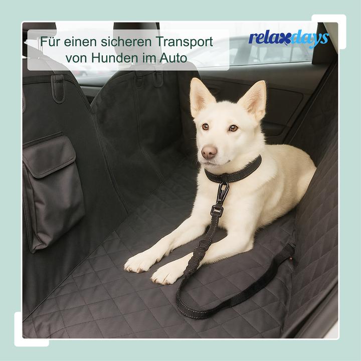 Actual product image Relaxdays Dog harness (Dog)