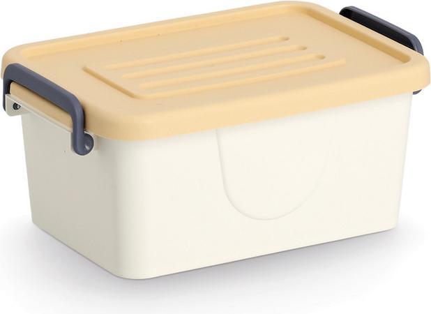 Actual product image Zeller Present Aufbewahrungsboxen-Set (21 cm, 3x)