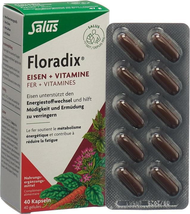 Image du produit Salus Fer + vitamines (1 pcs, Capsules, 73 g)