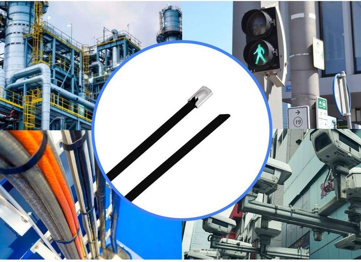 Produktbild Tru Components TC-12647600 Stahlkabelbinder 680 mm 4.6 mm AISI 304 mit Beschich (Kunststoffkabelbinder, 680 mm, 100 Stk.)