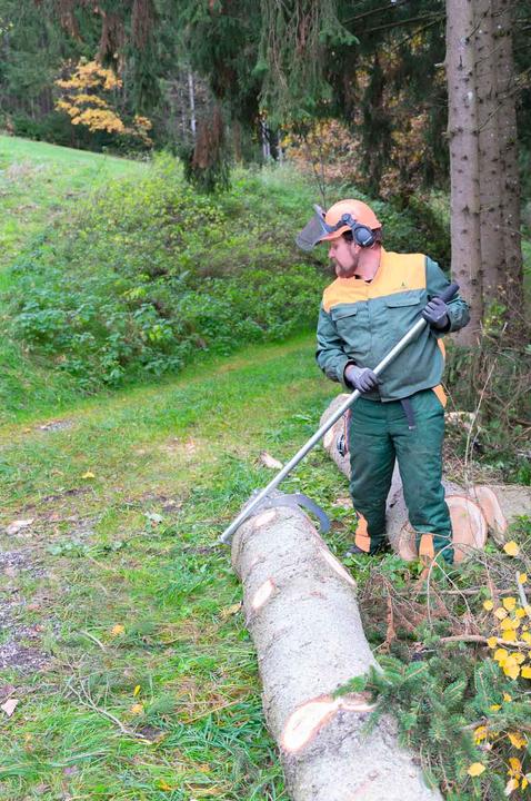 Actual product image Holzmann lockwood hook