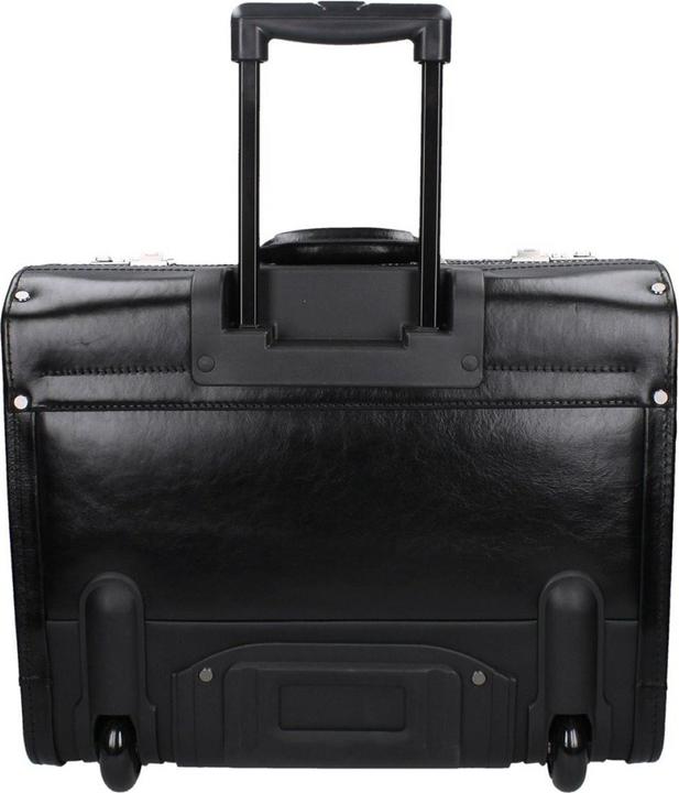 Actual product image Dermata were pilot case 45.5cm from vegatabile full cowhide (37 l)