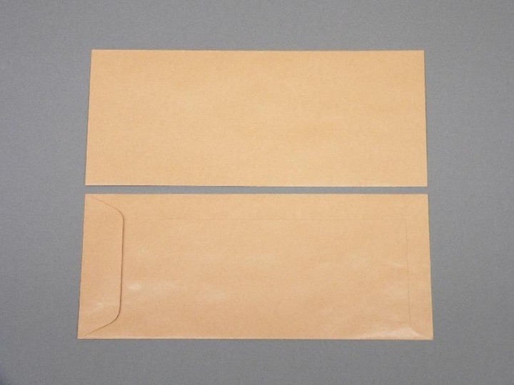 Produktbild Blanke Versandtaschen 127x305mm 115g/qm gummiert VE=250 Stück braun (250 x)