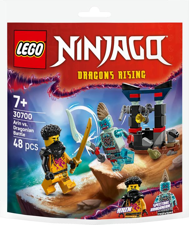 LEGO 30700 Arins Duell mit dem Drachenmenschen (30700, LEGO Ninjago)