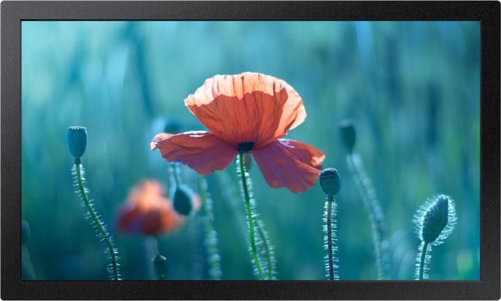 Samsung Smart Signage QB13C 33,02cm(13") (1920 x 1080 pixels, 13")