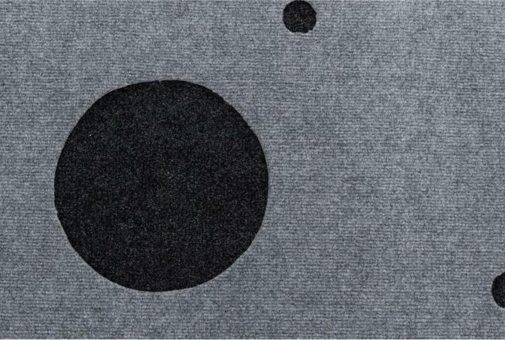 Immagine prodotto Trixie Adventure Carpet (Giocattolo per gatti)