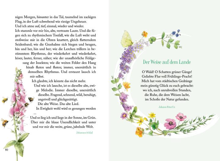 Produktbild Sonnenschein, Freiheit und eine kleine Blume braucht man (Deutsch, Kristina Schaefer, Marjolein Bastin, 2024)