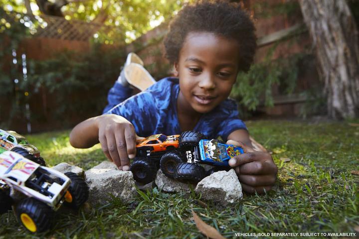 Actual product image Hot Wheels Monster trucks, Die-Cast