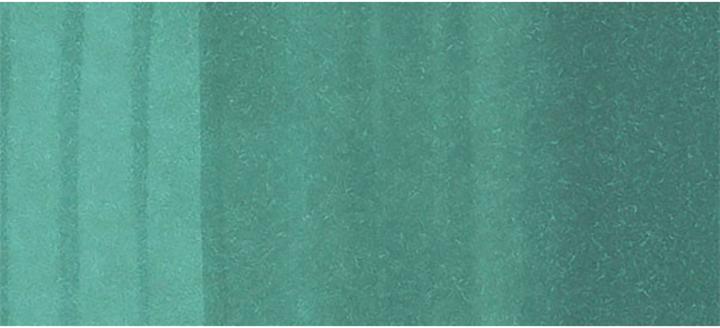 Immagine prodotto Copic Schizzo tipo G - 17 (G17 - Verde foresta, 1 x)