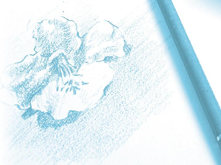 Actual product image Clairefontaine Drawing pad (A5, Plain, Soft cover)