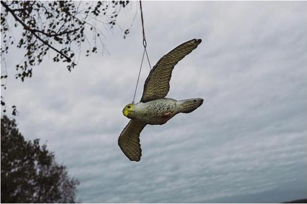 Actual product image Bradas Bird repellent