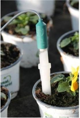 Produktbild ECO pH Einstich-Gel-Elektrode