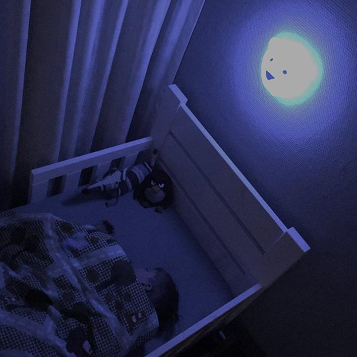 Image du produit Flow Amsterdam LED Björn