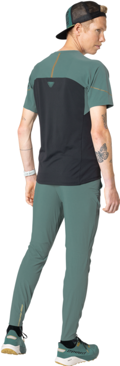 Actual product image Dynafit Alpine Pro S/S Tee (46)