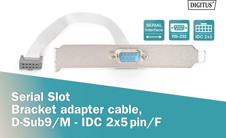 Image du produit Digitus Câble série à fente, 0,25m (0.25 m)