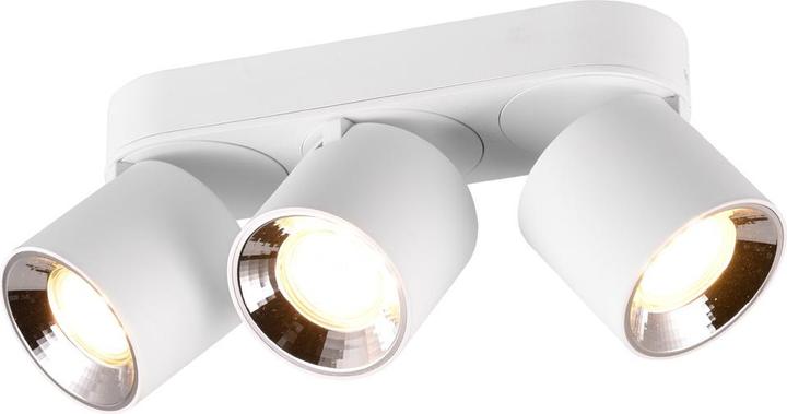 Image du produit Trio 651000331 Spot encastré/en saillie GUAYANA (8700 lm, GU10)