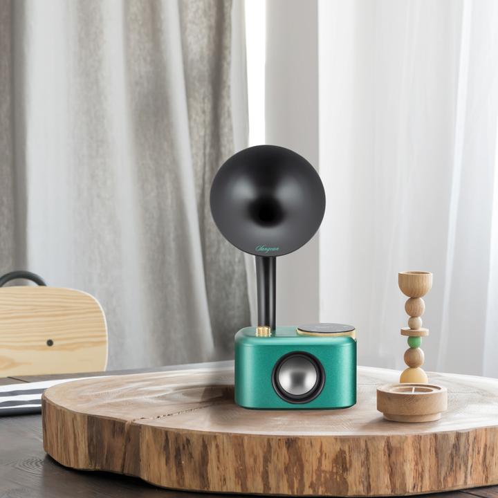 Actual product image Sangean CP 100D (DAB+, Bluetooth)