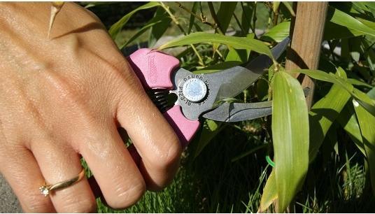 Actual product image Bahco Rainbow Pink secateurs