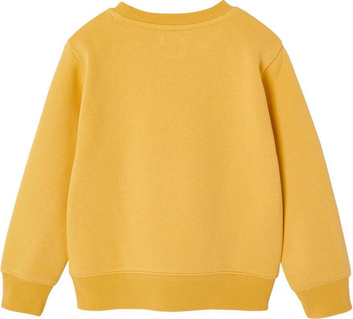 Image du produit Vertbaudet Sweatshirt Jungen mit Print BASIC (140)