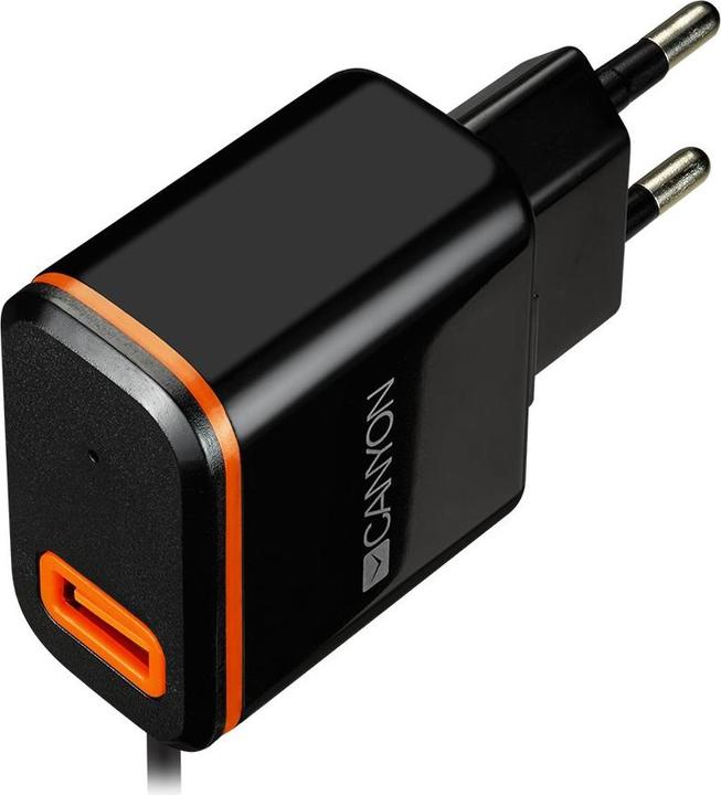 Canyon Power adapter H-042 (1 portion)