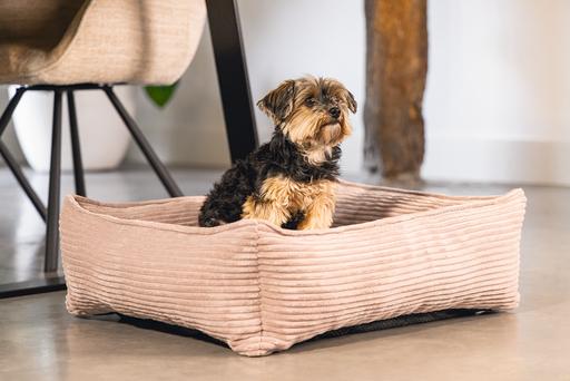 Immagine prodotto Designed by Lotte A coste (Cane)