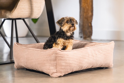 Productafbeelding Designed by Lotte Geribbeld (Hond)