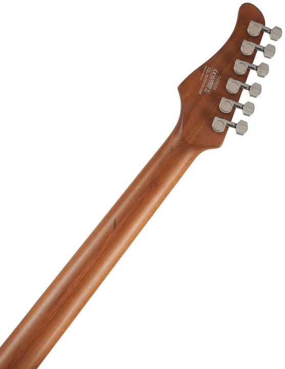 Produktbild Cort Guitars Cort G250 SE Black (E-Gitarre, Gerösteter Ahorn (Griffbrett), Basswood (Korpus), Gerösteter Ahorn (Hals))