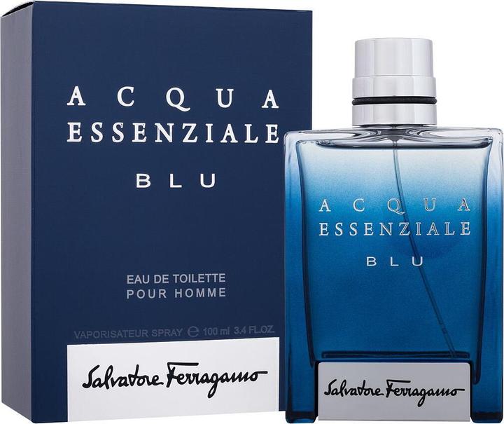 Salvatore Ferragamo Eau de Toilette (Eau de Toilette, 100 ml)