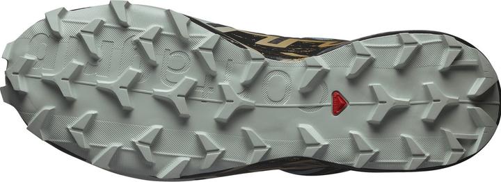 Image du produit Salomon Speedcross 6 GTX - 68434 (46 2/3)