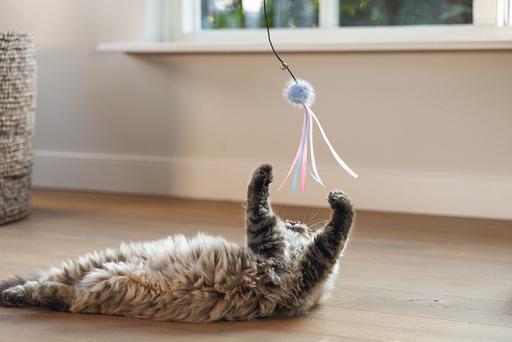 Produktbild Beeztees Katzenangel Ball mit Bändern