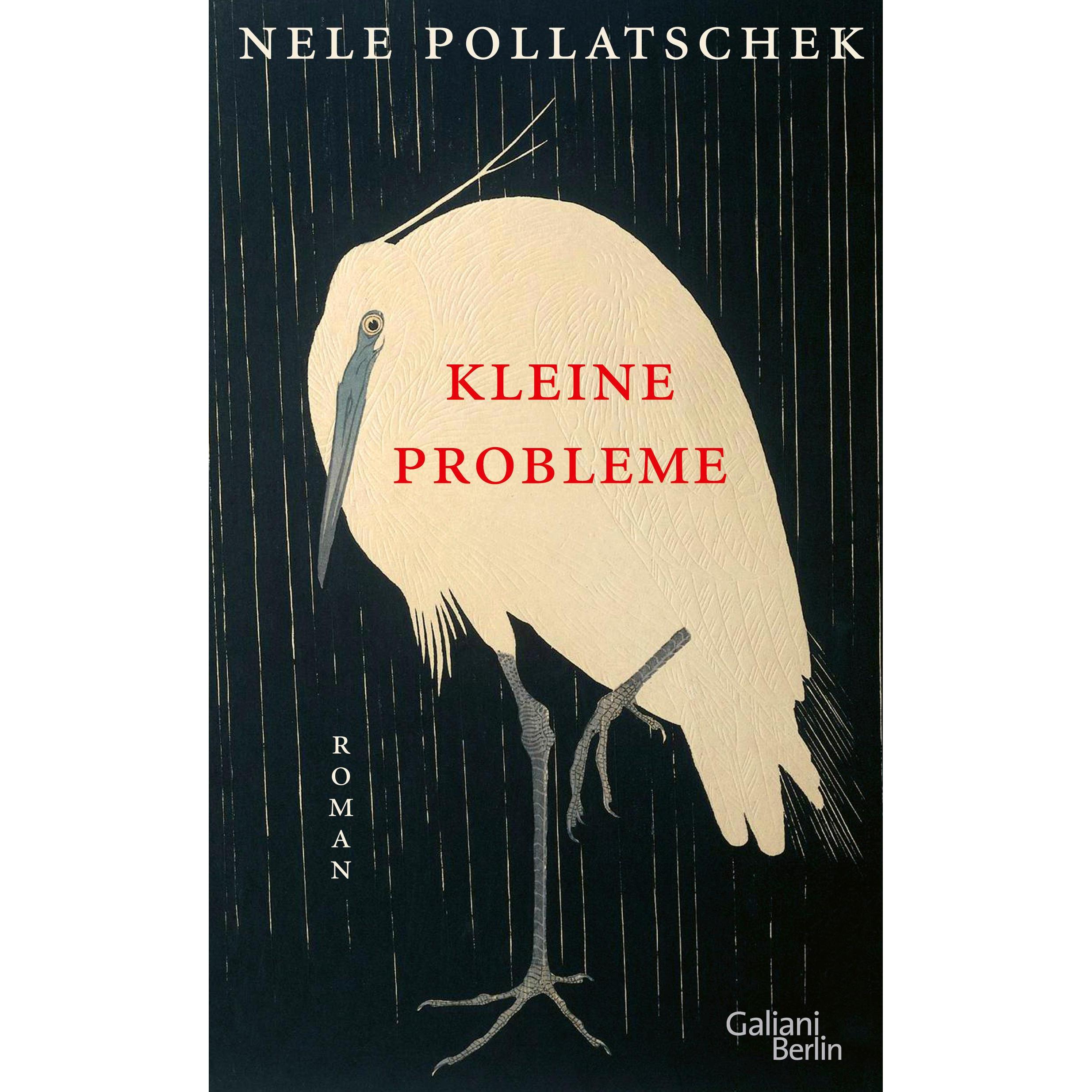 Kleine Probleme, Belletristik von Nele Pollatschek