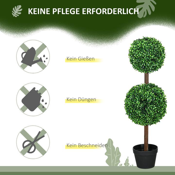 Produktbild Jamb Buchsbaum (90 cm)