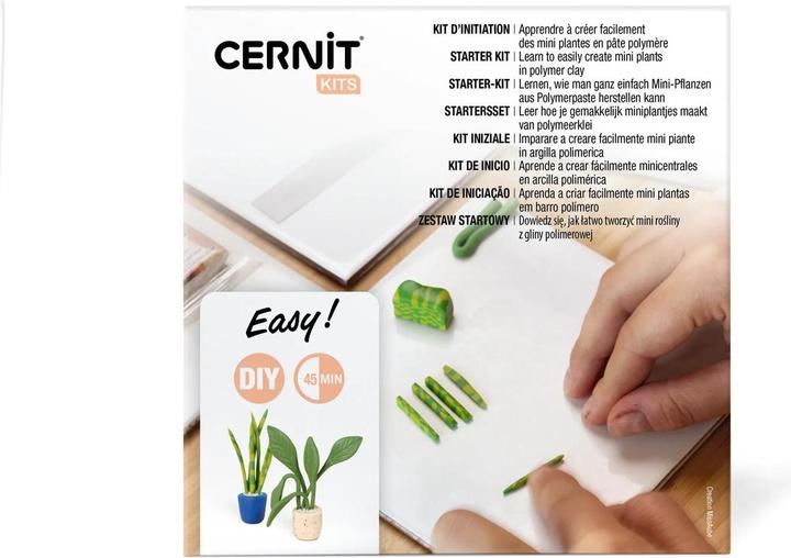 Actual product image Cernit Starter-Kit, kleine Pflanzen