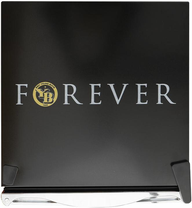 Actual product image Kibernetik BSC Young Boys (48 l)