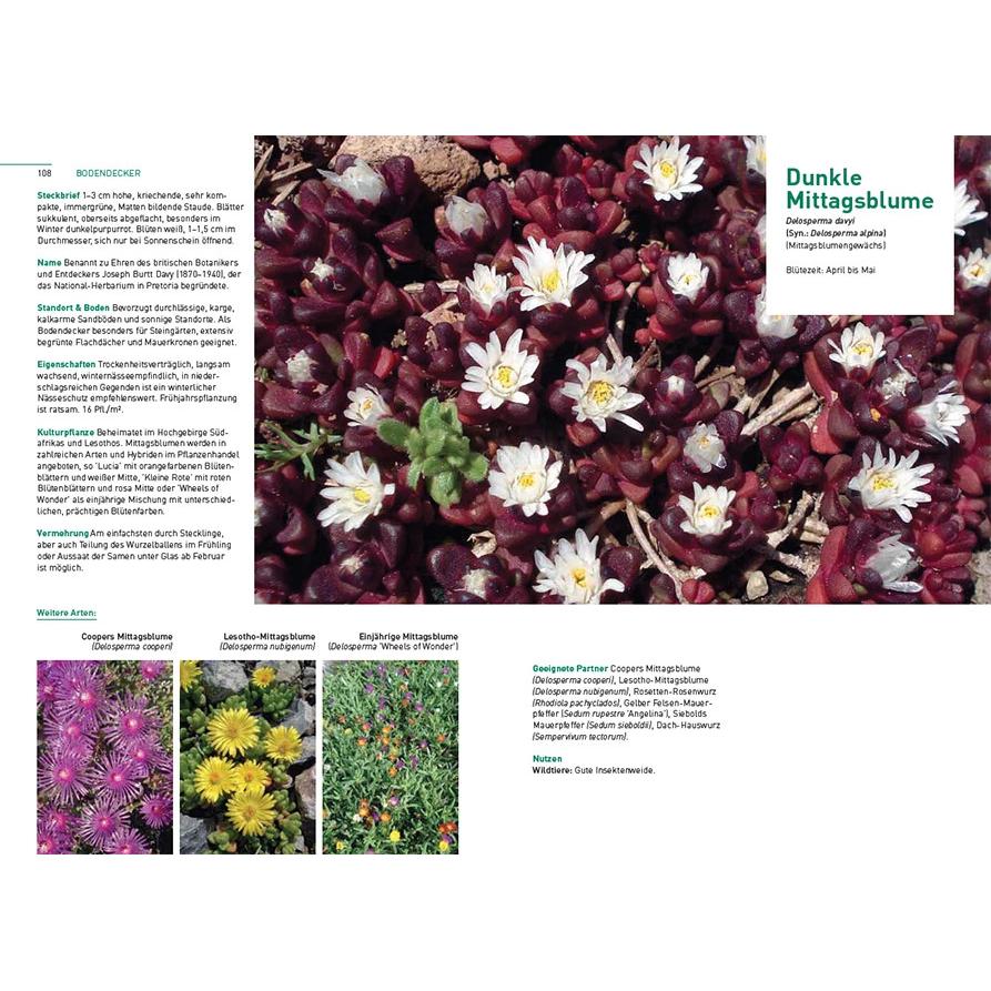 Thumbnail - Kletterpflanzen und Bodendecker, Ratgeber von Norbert Griebl