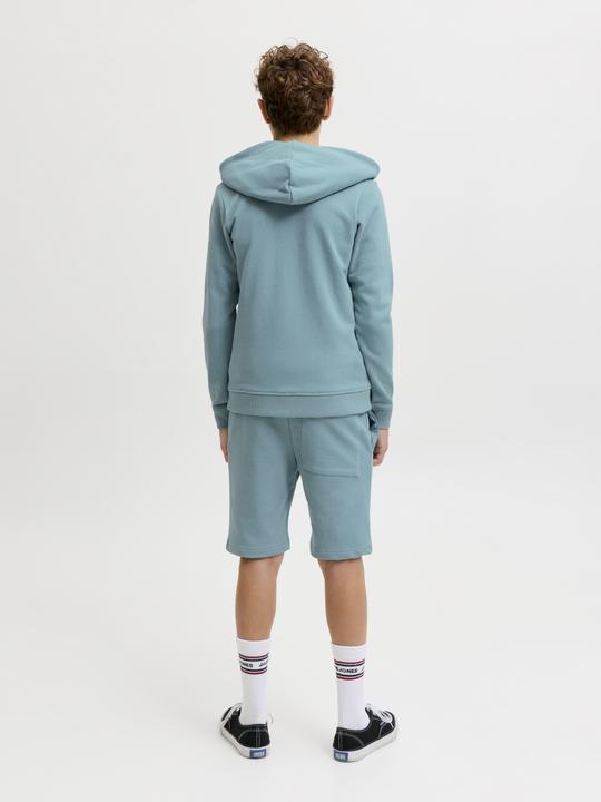 Image du produit Jack & Jones Junior Hose GORDON Shorts (152)